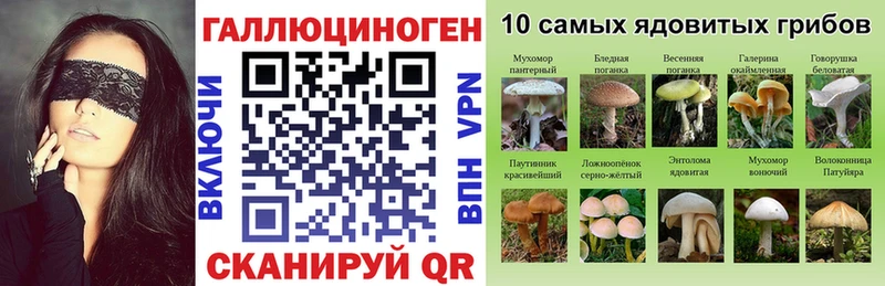 где найти наркотики Уссурийск Псилоцибиновые грибы Cubensis