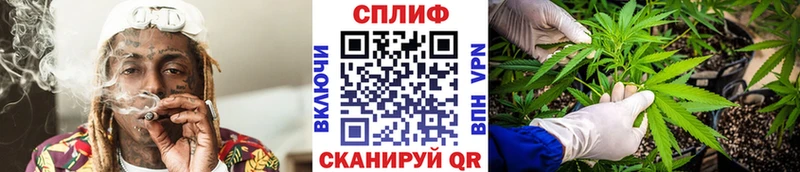 Конопля OG Kush Уссурийск